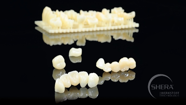 3d_1_shera_print-cb 600x338